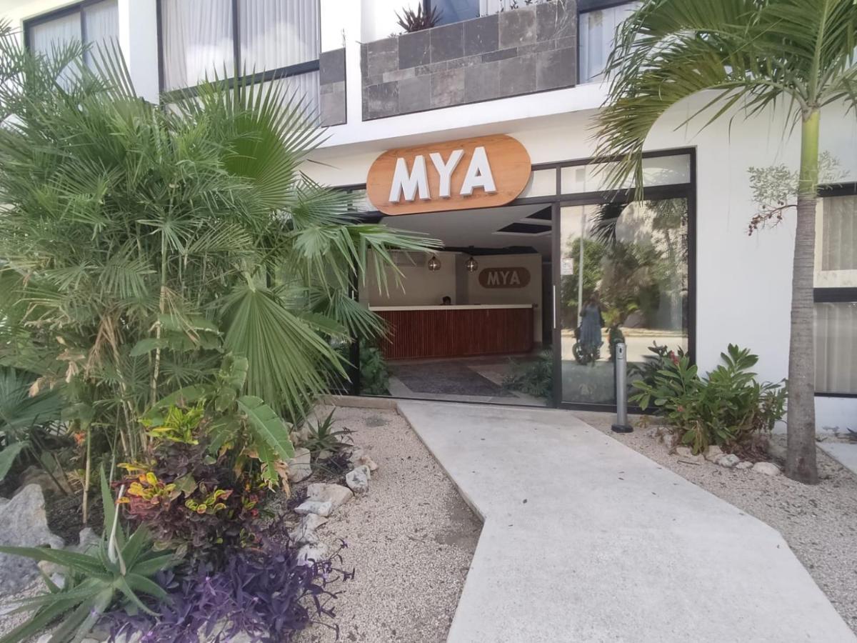 Nuevo Estudio Con Terraza Totalmente Equipado Tulum Aldea Zama 外观 照片